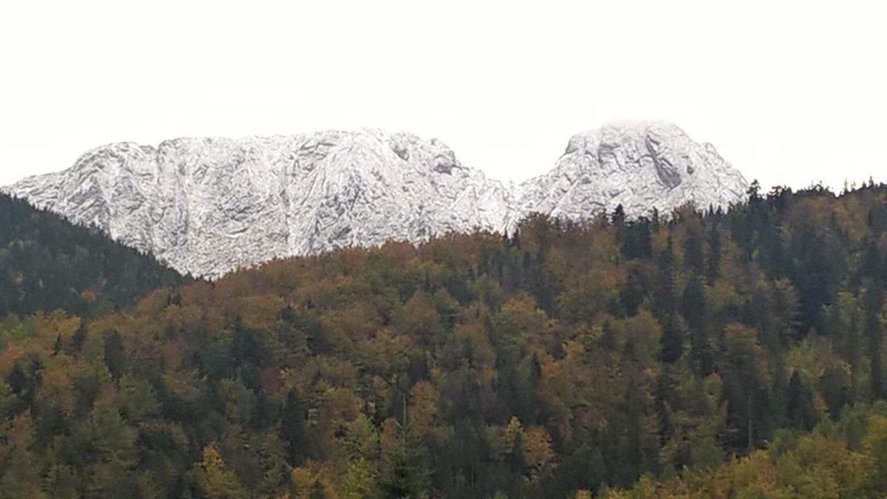 Apartament 33.13.A. Zakopane Eksteriør bilde