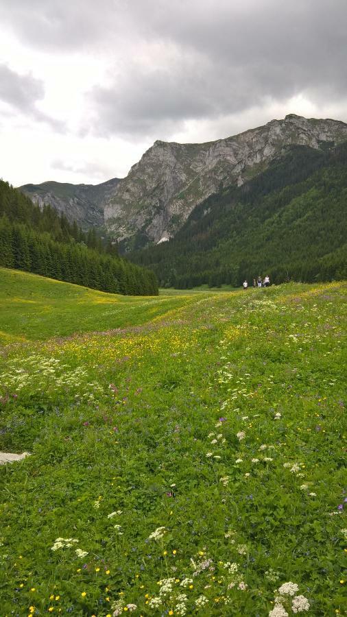 Apartament 33.13.A. Zakopane Eksteriør bilde