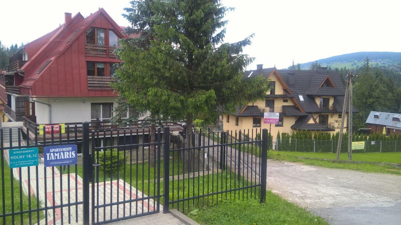 Apartament 33.13.A. Zakopane Eksteriør bilde